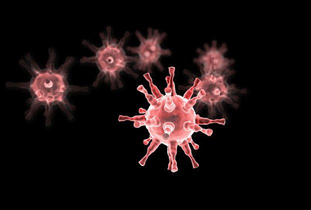 Welche Zistrosentee Wirkung gibt es? ist das Kräutertee?