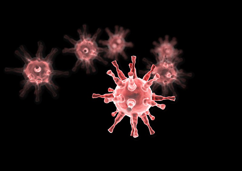 coronavirus vorvid 19